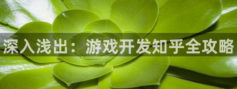 沐鸣2主管