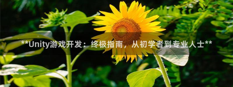 沐鸣娱乐2测速
