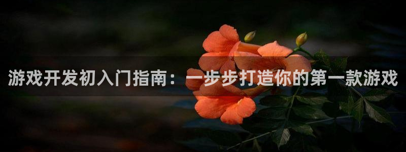 沐鸣2开户地址