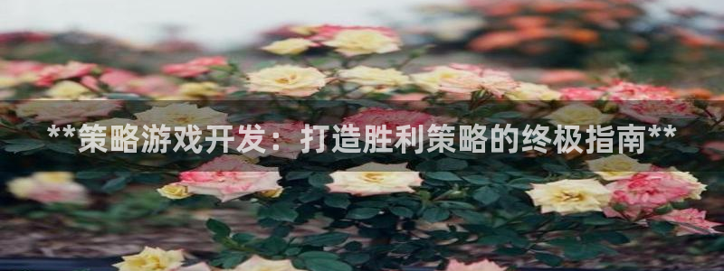 沐鸣2平台代理