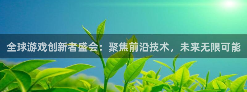 沐鸣娱乐2注册平台：全球游戏创新者盛会：聚焦前沿技术，未来无限可能
