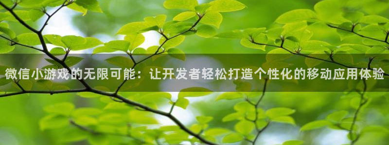 沐鸣2测速：微信小游戏的无限可能：让开发者轻松打造个性化的移动应用体验