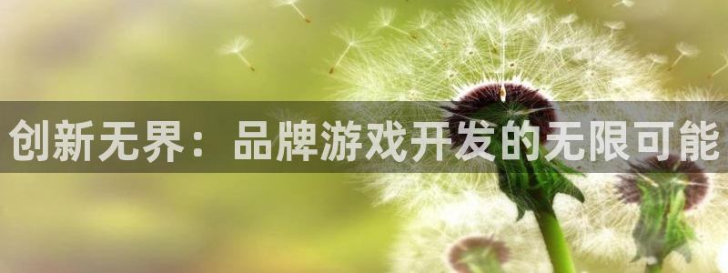 沐鸣娱乐2返点：创新无界：品牌游戏开发的无限可能