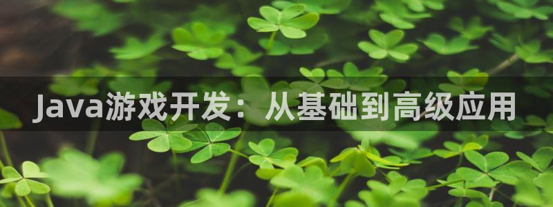 沐鸣2登陆扣27337：Java游戏开发：从基础到高级应用