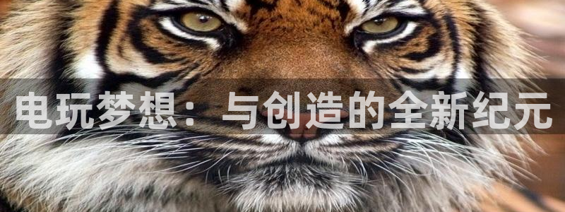 沐鸣娱乐2官方网站：电玩梦想：与创造的全新纪元