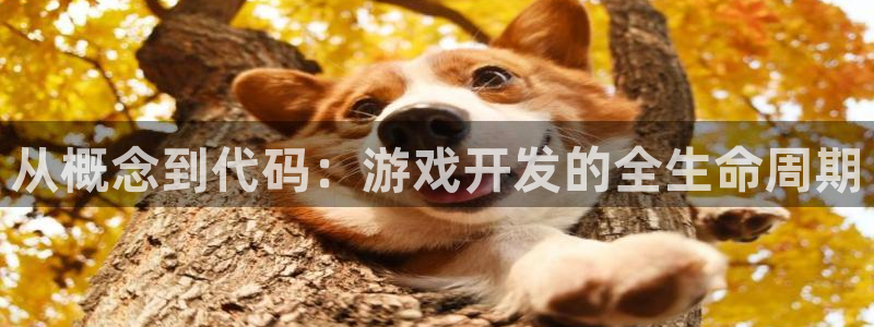 沐鸣娱乐2怎么登录账号：从概念到代码：游戏开发的全生命周期