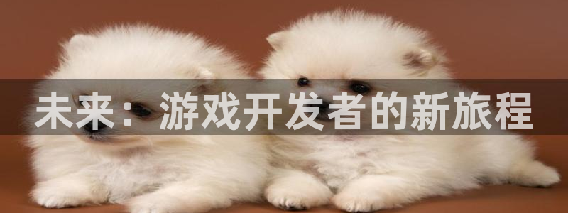 沐鸣娱乐2下载：未来：游戏开发者的新旅程