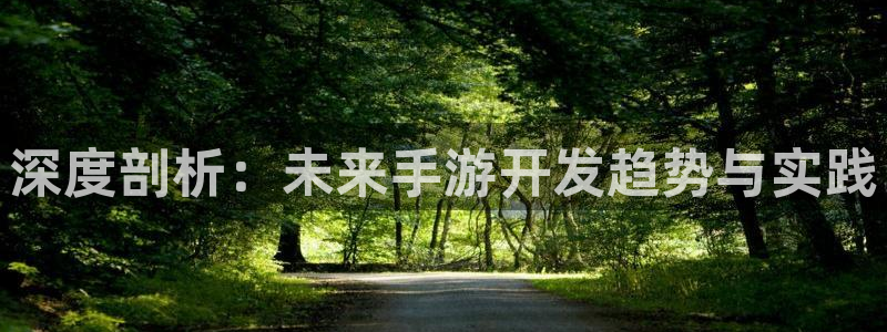 沐鸣2购35994胀：深度剖析：未来手游开发趋势与实践