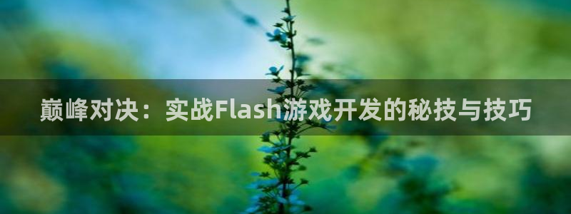沐鸣2注册：巅峰对决：实战Flash游戏开发的秘技与技巧