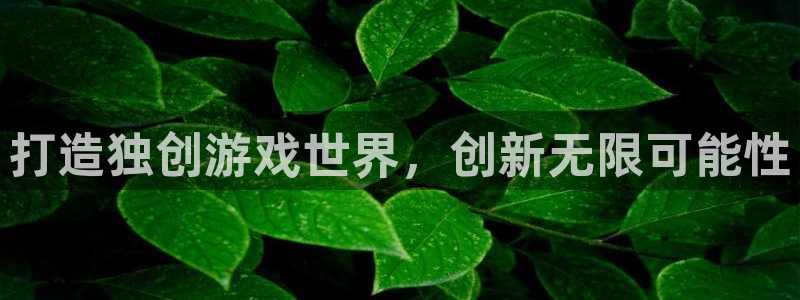 沐鸣2注册登录：打造独创游戏世界，创新无限可能性