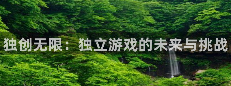 沐鸣娱乐2怎么样：独创无限：独立游戏的未来与挑战