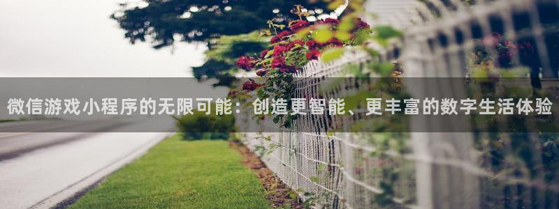 沐鸣2开户：微信游戏小程序的无限可能：创造更智能、更丰富的数字生活体验