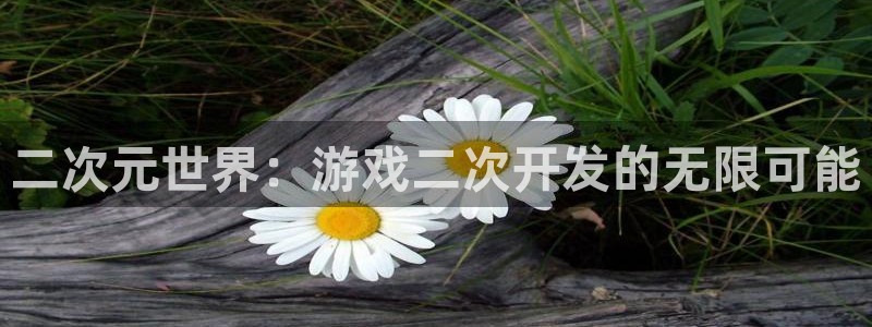 沐鸣2娱乐平台注册：二次元世界：游戏二次开发的无限可能