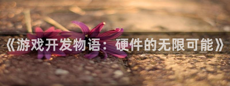 沐鸣2平台代理：《游戏开发物语：硬件的无限可能》
