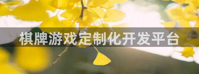 沐鸣2app下载：棋牌游戏定制化开发平台
