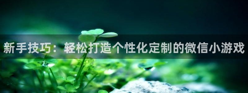 沐鸣娱乐2代理：新手技巧：轻松打造个性化定制的微信小游戏