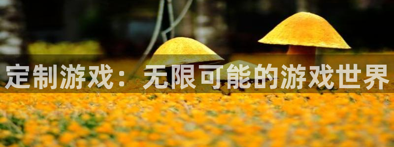 沐鸣2开户地址：定制游戏：无限可能的游戏世界