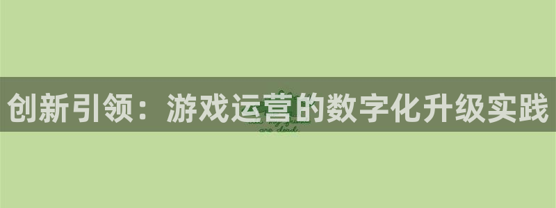 沐鸣2官网网址：创新引领：游戏运营的数字化升级实践