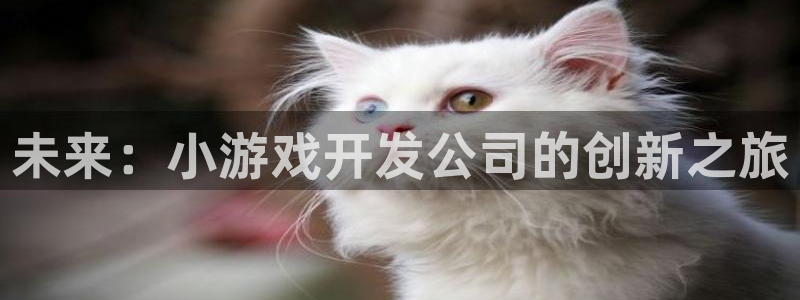 沐鸣娱乐2登入：未来：小游戏开发公司的创新之旅