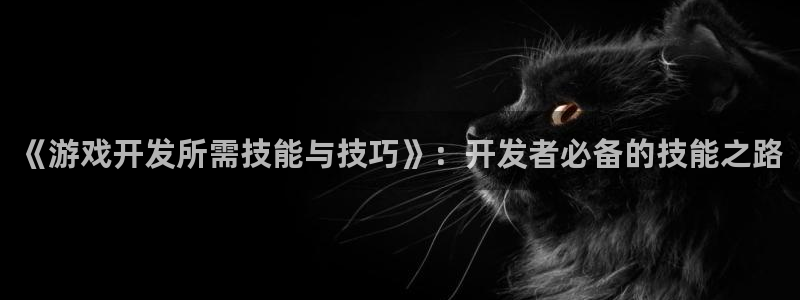 沐鸣2代理求27337：《游戏开发所需技能与技巧》：开发者必备的技能之路