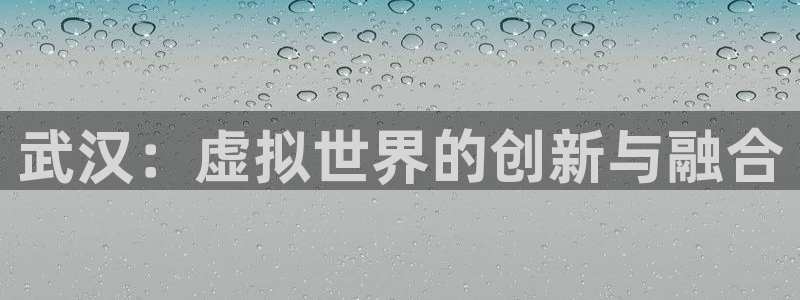 沐鸣2登录地址：武汉：虚拟世界的创新与融合