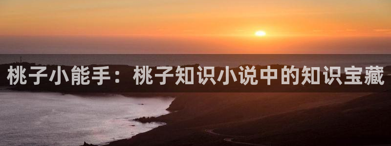 笔趣书阁app